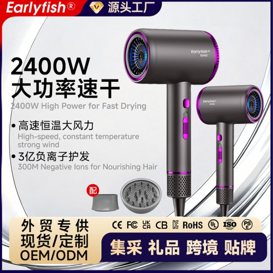 跨境大功率吹风机家用负离子护发恒温速干大风力学生电吹风筒批发