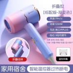 外贸吹风机赛琦雅品牌实力工厂家用发廊吹风机蓝光护发跨境电吹风