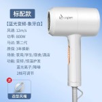 外贸吹风机赛琦雅品牌实力工厂家用发廊吹风机蓝光护发跨境电吹风