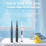 【工厂跨境】超声波洁牙器牙结石去除器洗牙器电动牙刷祛牙垢黄牙
