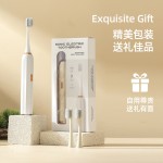 智能电动牙刷成人款软毛儿童usb充电款全自动情侣家用防水礼品