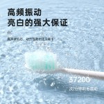 电动牙刷声波成人充电情侣软毛全自动源头工厂批发智能牙刷ZR505P
