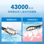 跨境热销磁悬浮声波电动牙刷无线感应充电成人款防水软毛厂家直销