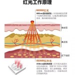 跨境红光红外光疗腰带物理理疗灯肩颈腿红外线理疗垫石墨烯加热