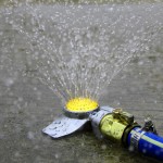 园艺洒水器