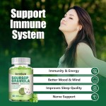 1 Pack Soursop Graviola Gummies - 2100mg Extra Strength Soursop Leaves Supplement with Vitamin C, Zinc - Digestive Aid, Immune Support
