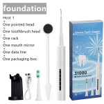 电动洁牙器套装，每分钟 31000 次震动可充电牙垢去除器，含替换刷头、口腔镜与支架，家用防水口腔护理工具