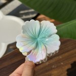 6pcs电镀卷心花抓夹大号高级感渐变花朵发夹后脑勺盘发马尾鲨鱼夹头饰，外出旅游，聚会，时尚晚宴