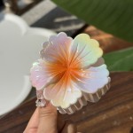 6pcs电镀卷心花抓夹大号高级感渐变花朵发夹后脑勺盘发马尾鲨鱼夹头饰，外出旅游，聚会，时尚晚宴