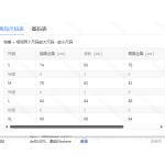 成人泳衣