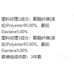 成人泳衣