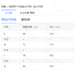 成人泳衣