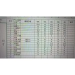 成人泳衣