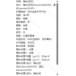 成人泳衣