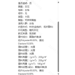成人泳衣