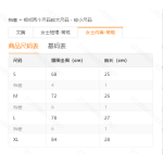 成人泳衣
