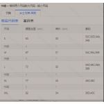成人泳衣